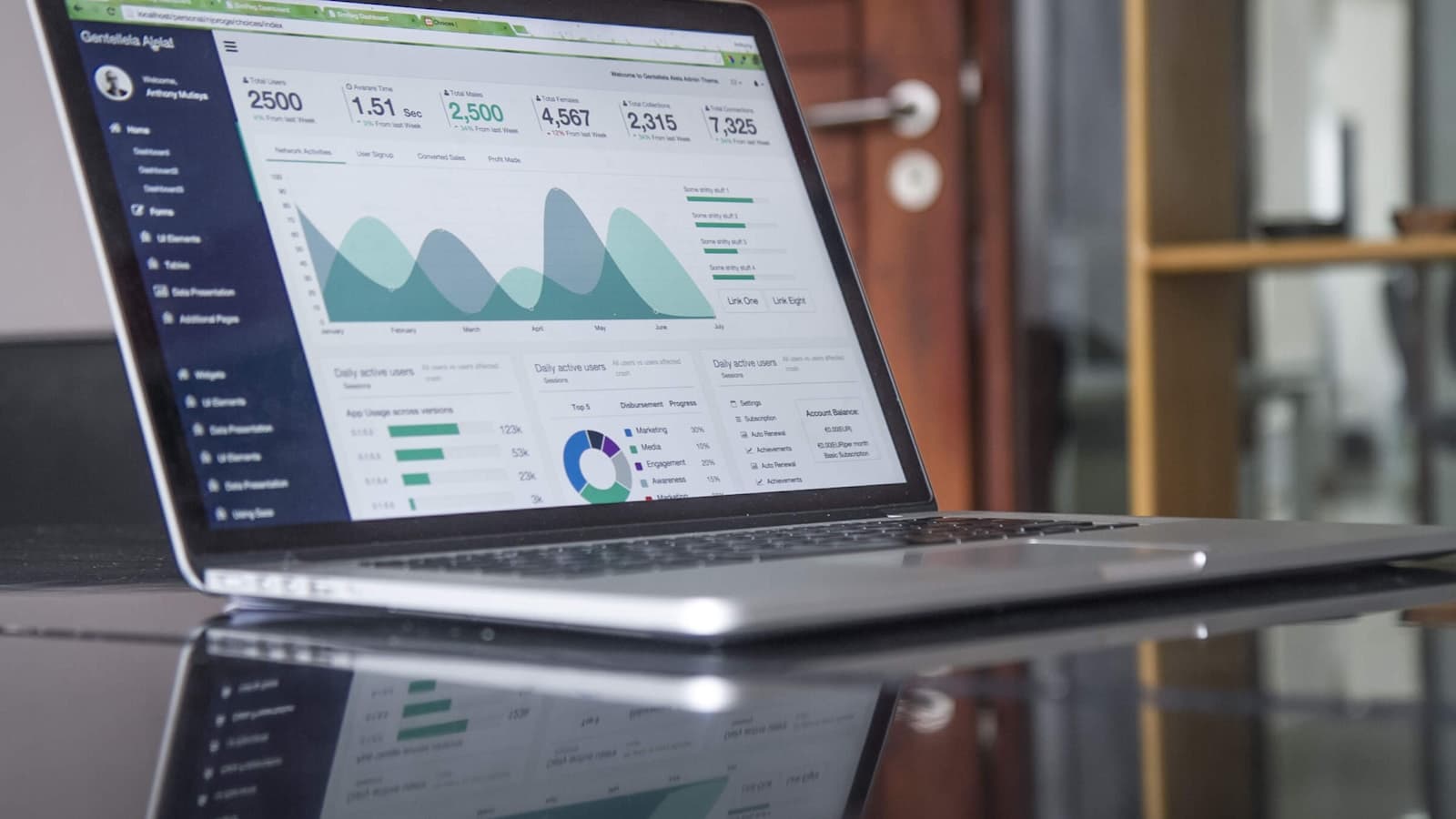 Laptop care afișează grafice de performanță și analiză web